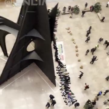 Dozens of Pro-Palestine took over the Senate Hart building