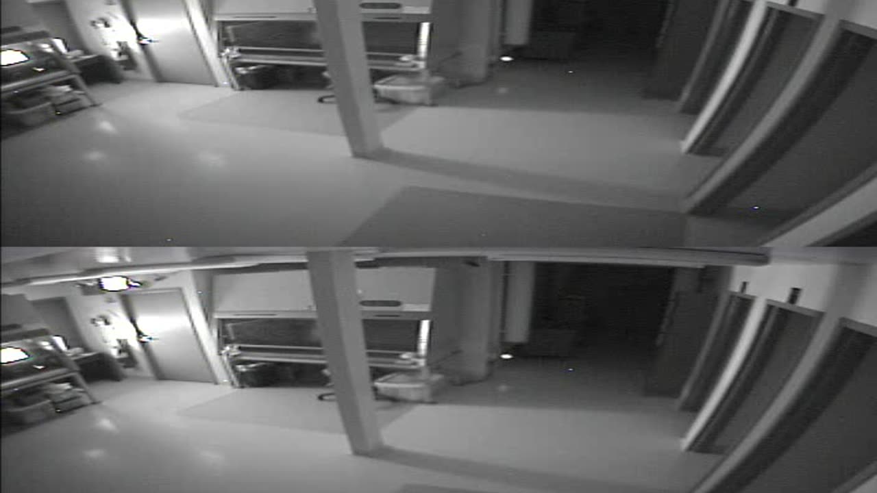 1702CRIB01CribAnalysisArea_2021-01-05_01h00min00s043ms.mp4