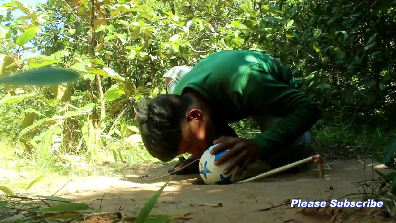 New Creative Unique Bird Trap Using Small Plastic Ball - Rolling Parrot Trap in Hole