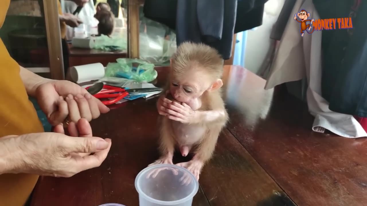 Love and care - compilation of videos of poor baby monkeys being helped