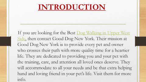 Best Dog Walking in Upper West Side