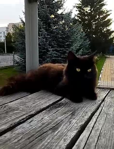 What amazing white flowers! 🌼✨