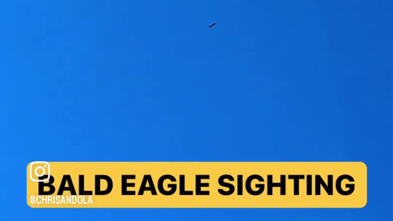 SYMBOL OF AMERICA