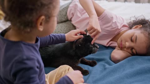 Cats love with kids
