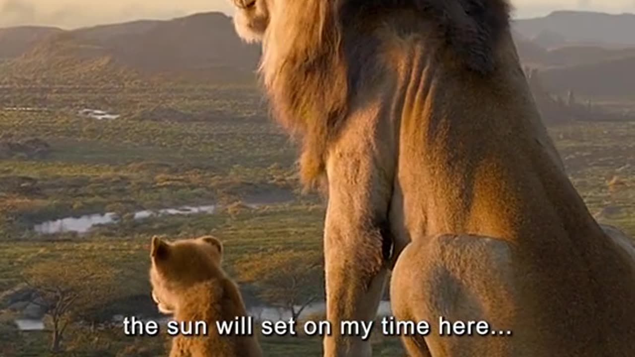 Animal kingdom: The lion king 1