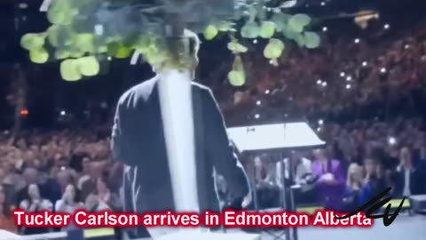 How dumb is Chrystia Freeland? rate her from 1 to 10 - 10 being very smart