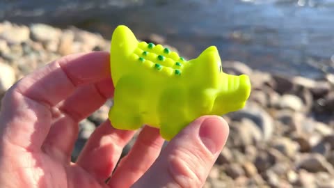 Finding Sea Animal Toys Near a River