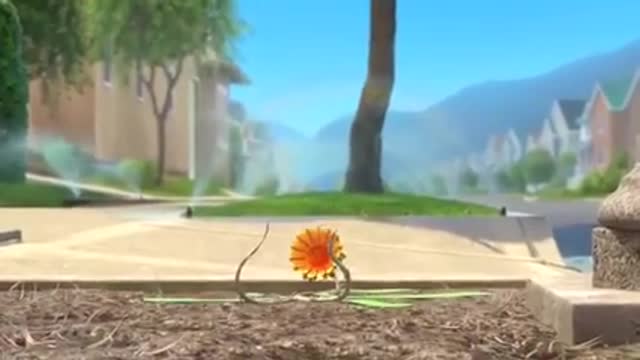 life of plant