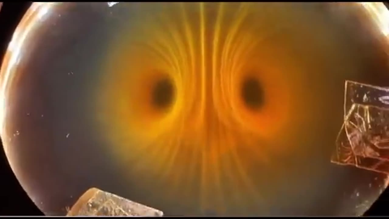 MAGNETISM: Visible Through A Field Viewer