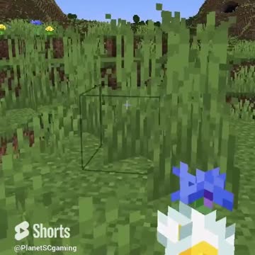 A Collection of Shorts #1