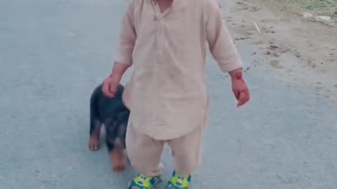 Cut dog and baby funny video