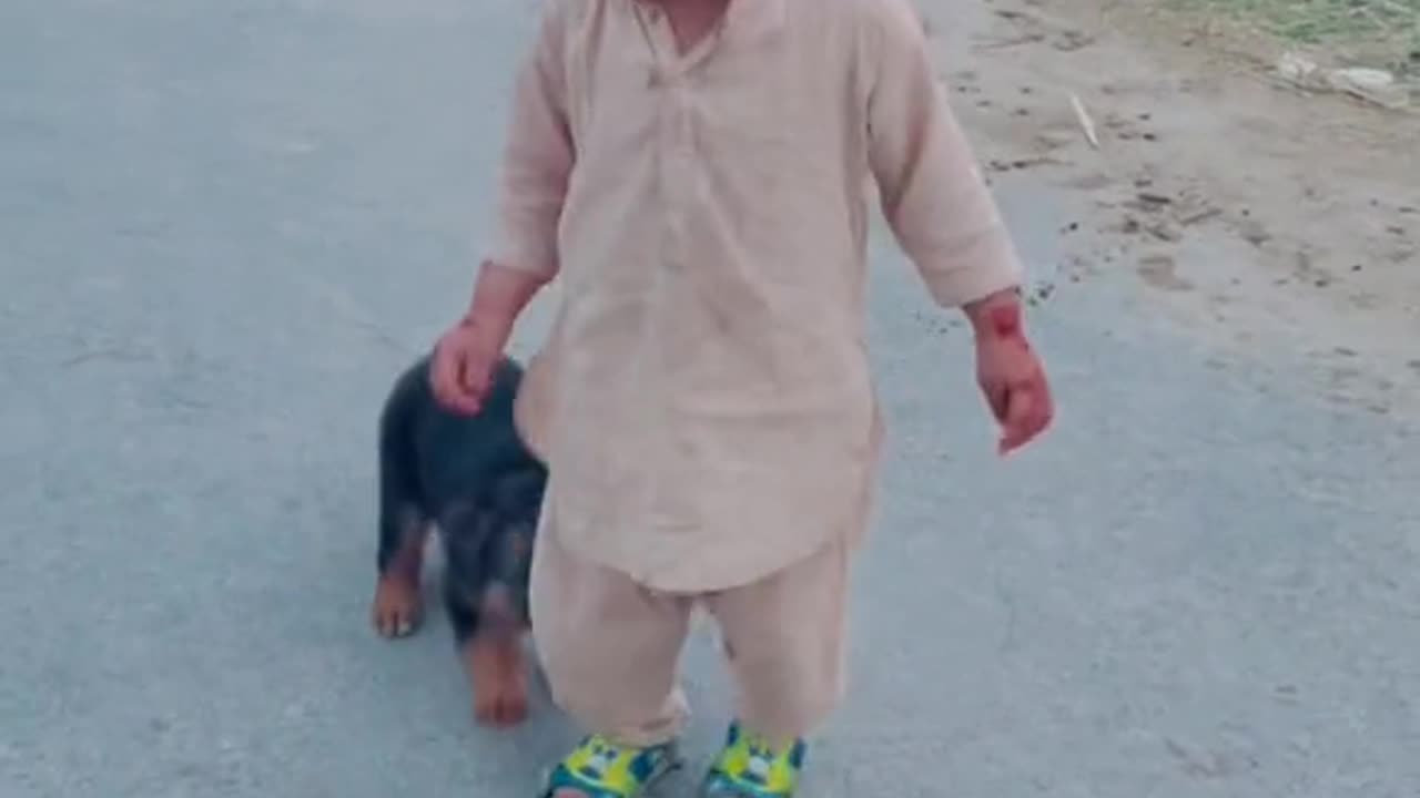 Cut dog and baby funny video