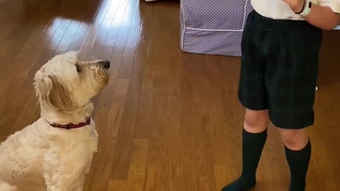 Puppy Catches Ball Thrown by Little Girl