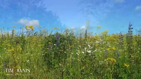 Christian Healing Worship Peaceful Scenery