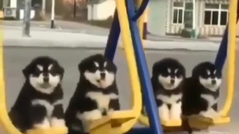 The good mood starts here