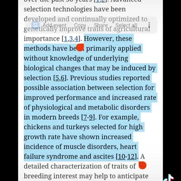 Chicken feed is even being perverted...