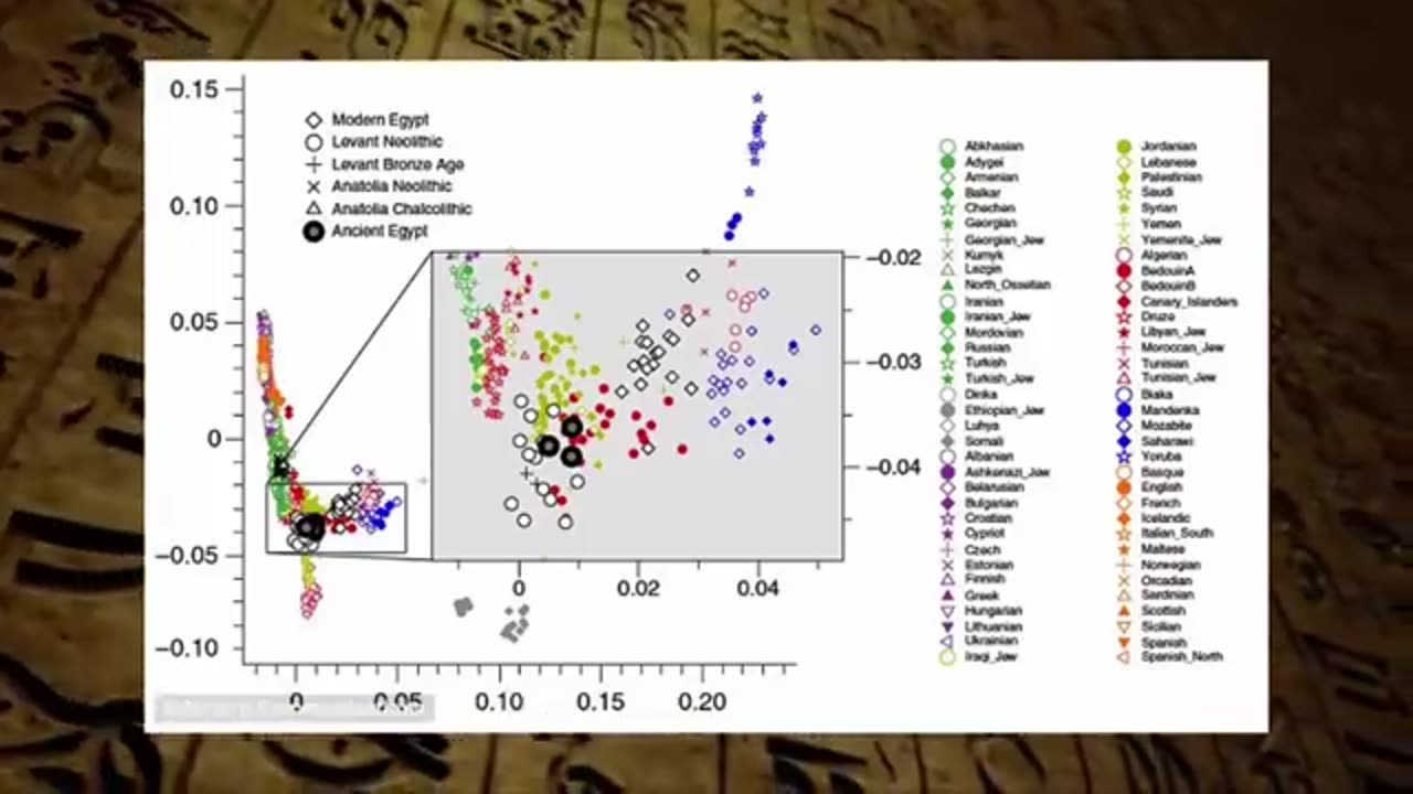 What race were the ancient Egyptians?