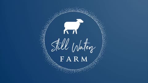 New Paddock Fence Solution