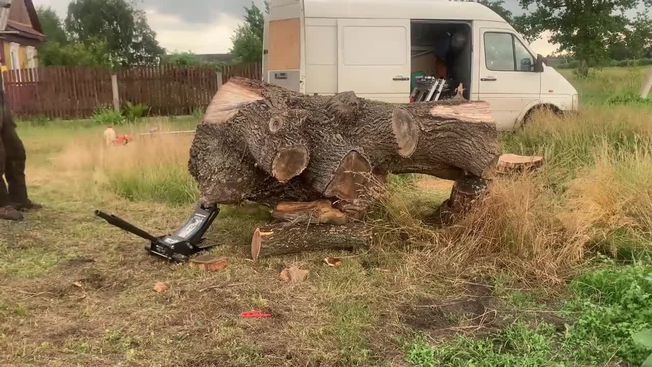 Cut those beautiful fragments from that tree