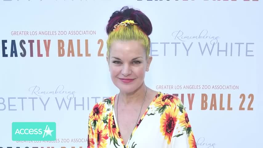 ꧁‘NCIS’’꧂ Pauley Perrette Says She Suffered A ‘Massive Stroke’ A Year Ago🦋