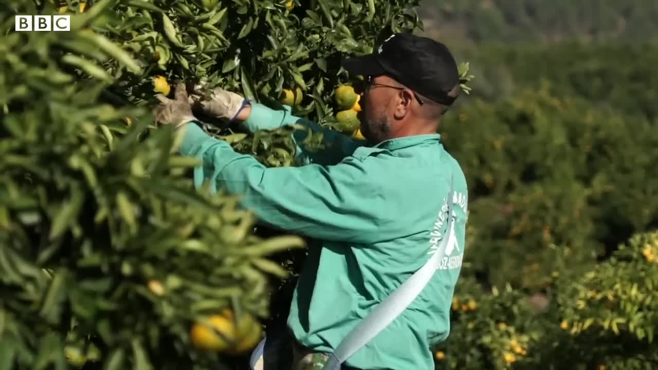 Restaurants and supermarkets face fines for food waste in Spain