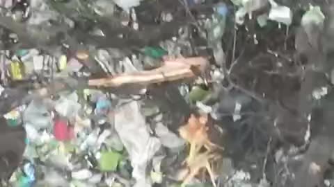 Russians Burrow into Garbage Dump for Cover