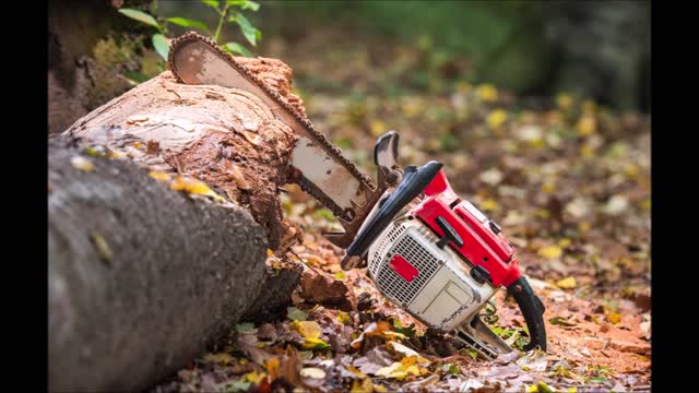 DC Tree Service - (706) 530-9678