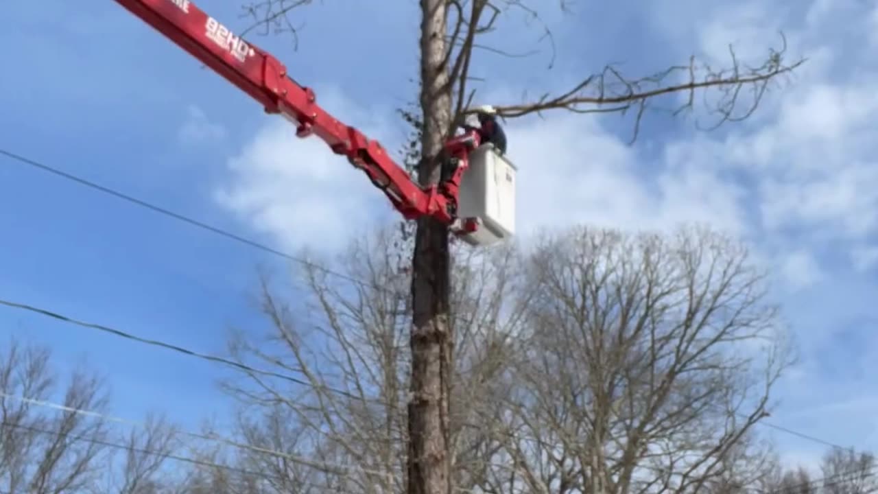 ALL AMERICAN TREE CARE - TAKEDOWN TIMELAPSE