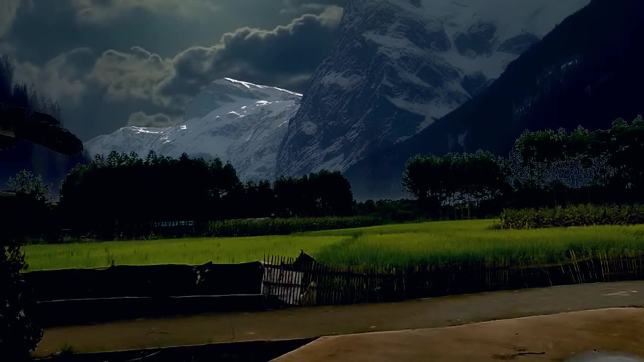 Nature