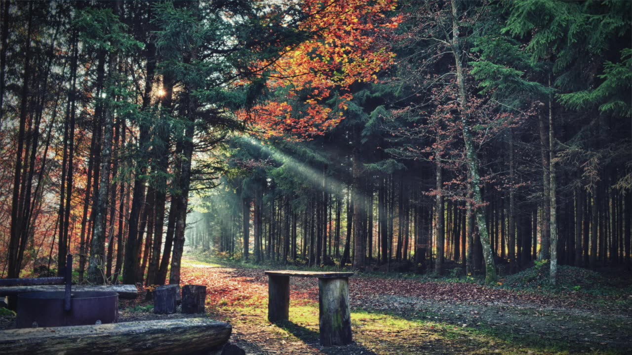 3 Hours of Relaxing Piano Music- Study Music, Sleep Music, Meditation Music - Relaxing Calm Flute