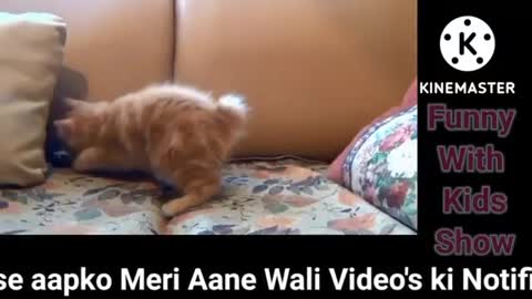 O Funny animal/cute Animals/Short Video/Quote And Funny Animal