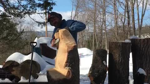 Chainsaw Carving an Eagle