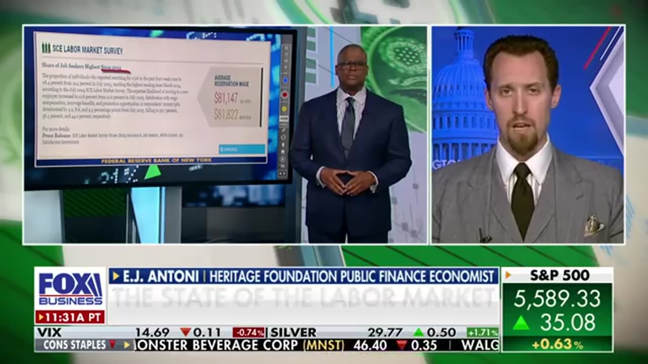 'CRAZY SCHEME': Economist warns voters not to fall for Democrats' latest stunt