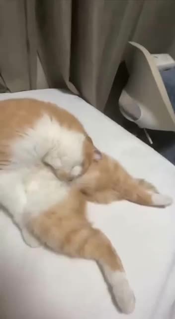 Giving you the silent treatment 🤣🤣