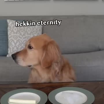 What are the chances Ellie picks ice-