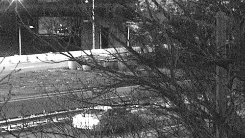 4405LOTS00Lot8-9East_2021-01-04_23h57min43s187ms.mp4