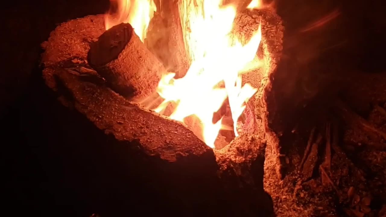 Cooking a stump Part 3