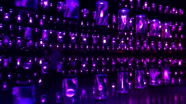 A look inside Dubai's Museum of the Future