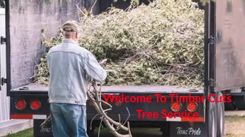 Timber Cuts Tree Cutting Service in Kaysville, UT | (801) 335-9650