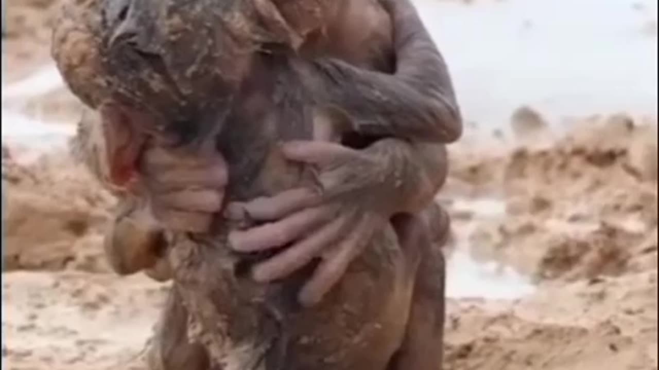 Amidst the devastation of the landslide #shorts #shortvideo #video #virals #videoviral