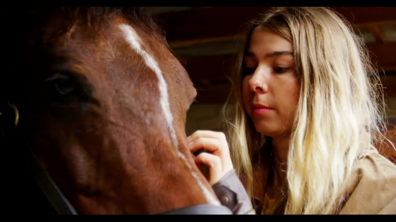 Woman stroking a horse in stable