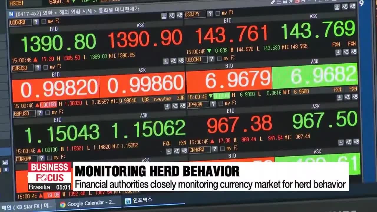 S. Korea's FX authorities warn against herd behavior amid excessive decline in local currency