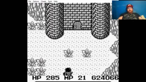 ZuperNEZ Plays Final Fantasy Adventure Part 10