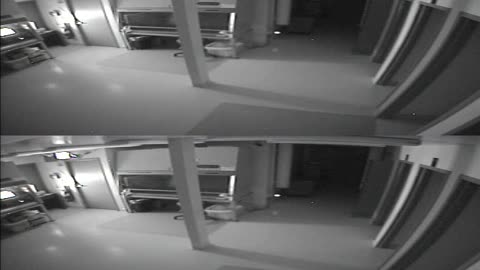 1702CRIB01CribAnalysisArea_2021-01-05_00h40min00s030ms.mp4