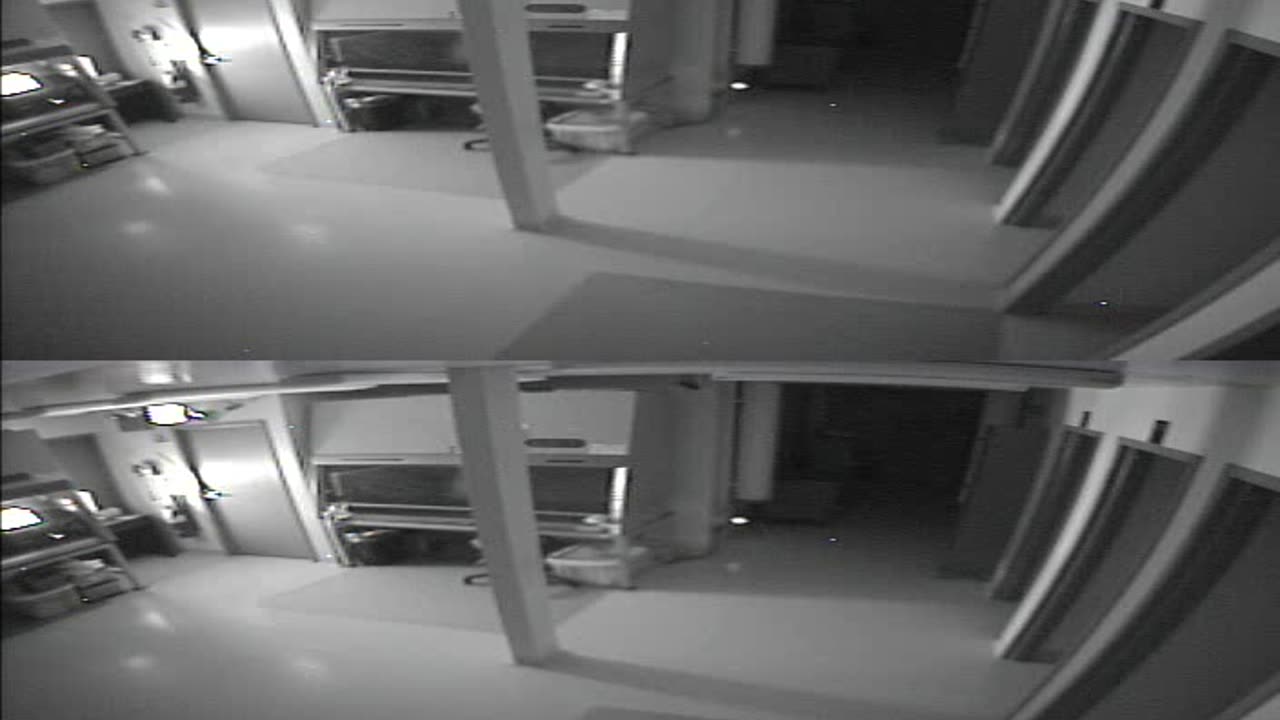 1702CRIB01CribAnalysisArea_2021-01-05_00h40min00s030ms.mp4