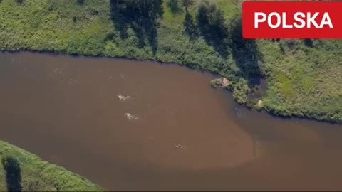Wszyscy jemy skażone produkty