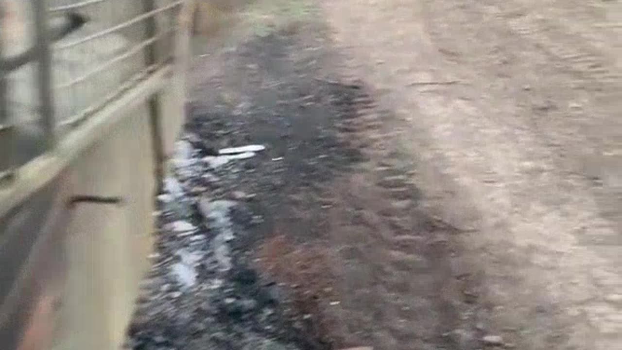 Another Ukrainian armored personnel carrier YPR-765 destroyed in the combat zone.