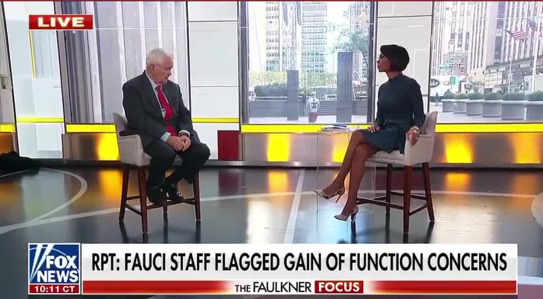 Newt Gingrich On Fauci