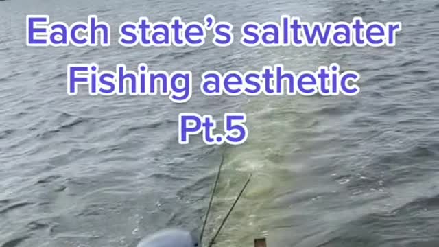 Each state's saltwaterFishing aestheticPt.5