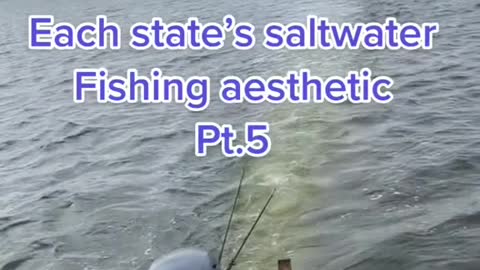 Each state's saltwaterFishing aestheticPt.5